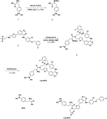 Construction of targeted 10B delivery agents and their uptake in gastric and pancreatic cancer cells